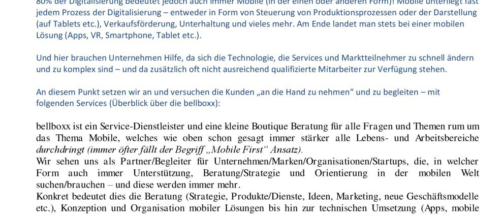 thumbnail of Kurzportrait_bellboxx-GmbH_24012017