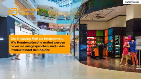 Die Shopping Mall als Erlebniswelt